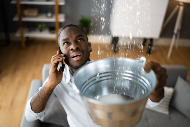 Best Basement water damage restoration  in Fruitdale, CA
