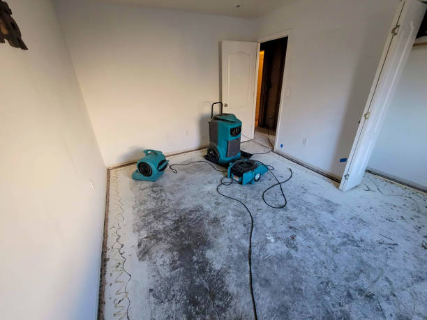 Best Water damage restoration insurance claims  in Fruitdale, CA
