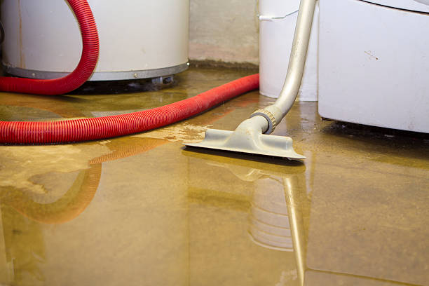 Best Flooded house restoration  in Fruitdale, CA