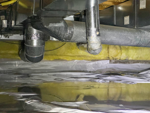 Best Carpet water damage restoration  in Fruitdale, CA