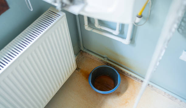 Best Flood damage cleanup  in Fruitdale, CA