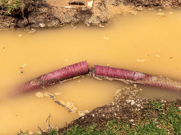 Best Flood restoration services  in Fruitdale, CA