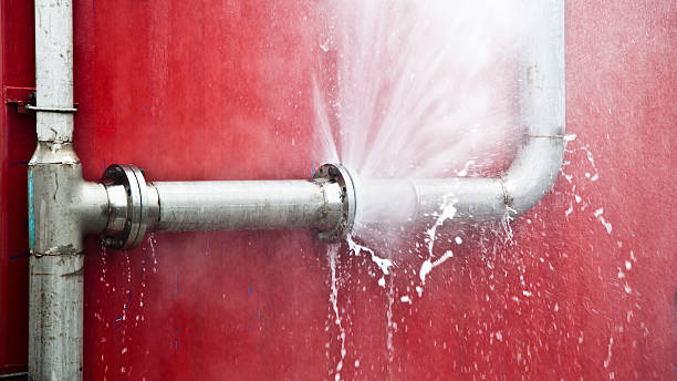 Best Water damage cleanup near me  in Fruitdale, CA